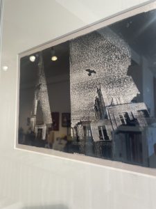 img_6350